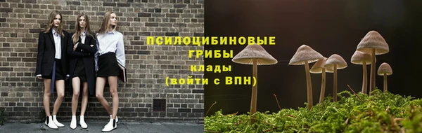 прущая мука Зеленокумск