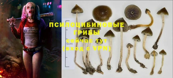 прущая мука Зеленокумск