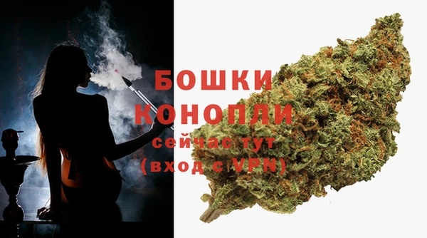 прущие грибы Зеленодольск