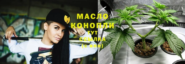 прущие грибы Зеленодольск