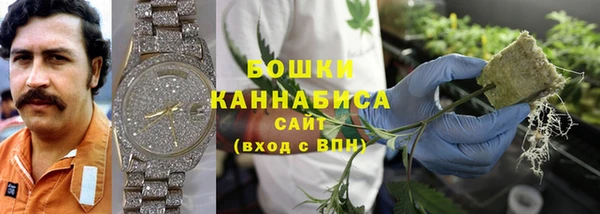 прущие грибы Зеленодольск