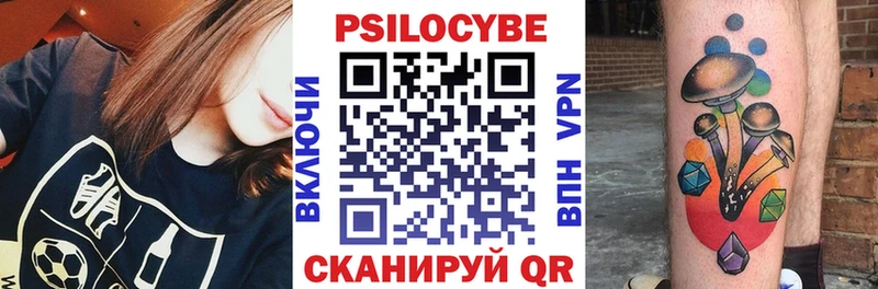 сколько стоит  Пыталово  Галлюциногенные грибы Psilocybine cubensis 